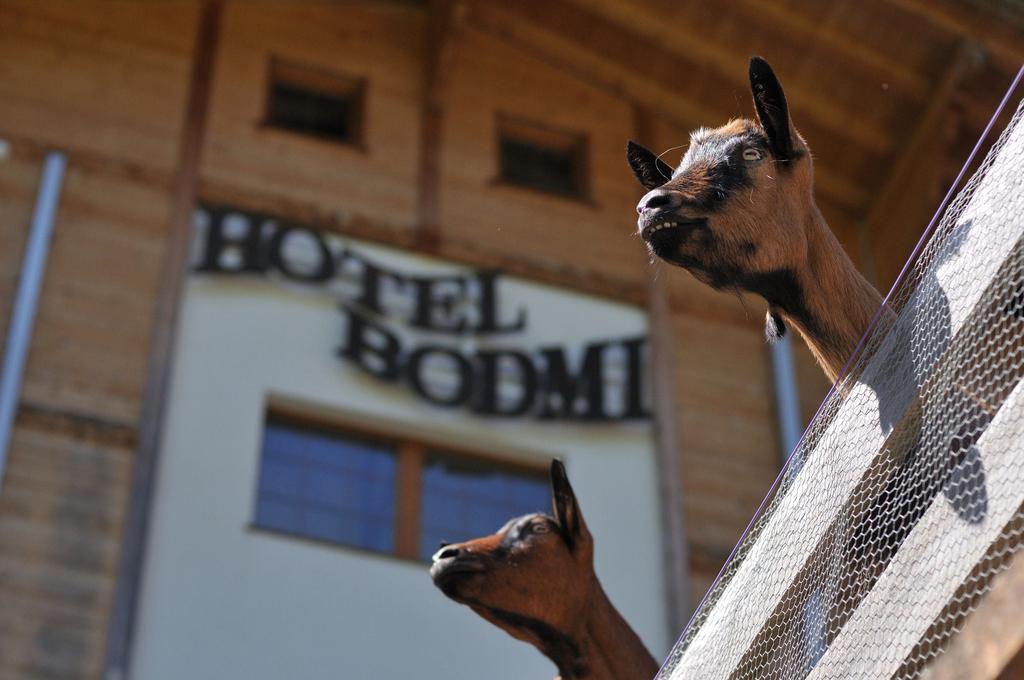 Hotel Bodmi Гринделвалд Екстериор снимка